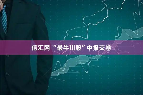 信汇网 “最牛川股”中报交卷