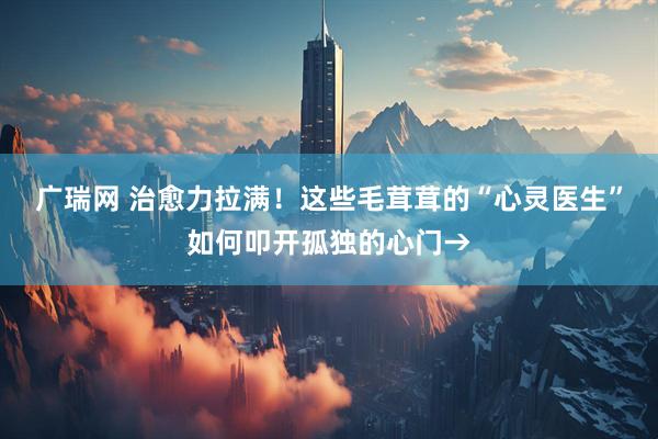 广瑞网 治愈力拉满！这些毛茸茸的“心灵医生”如何叩开孤独的心门→