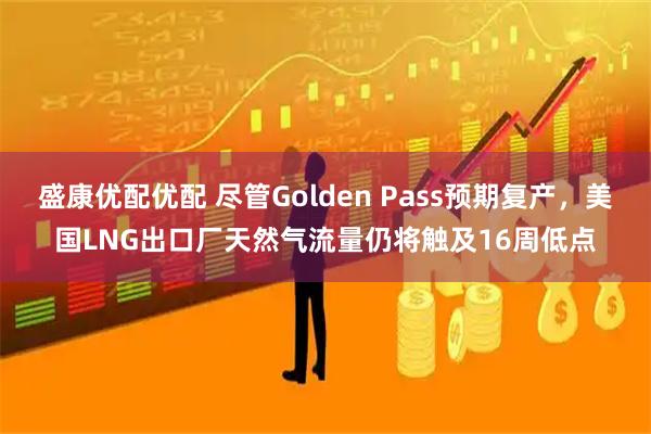 盛康优配优配 尽管Golden Pass预期复产，美国LNG出口厂天然气流量仍将触及16周低点
